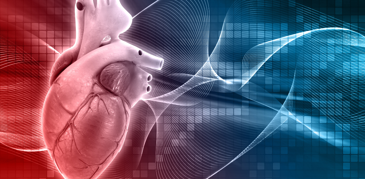 Tricuspid and Mitral Valves: Anatomy and Physiology Explained