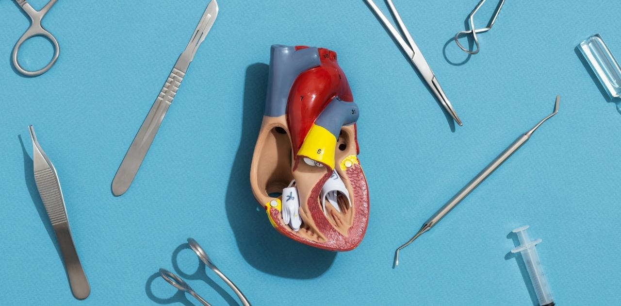 How the Sinoatrial (SA) Node Works in the Heart’s Electrical System