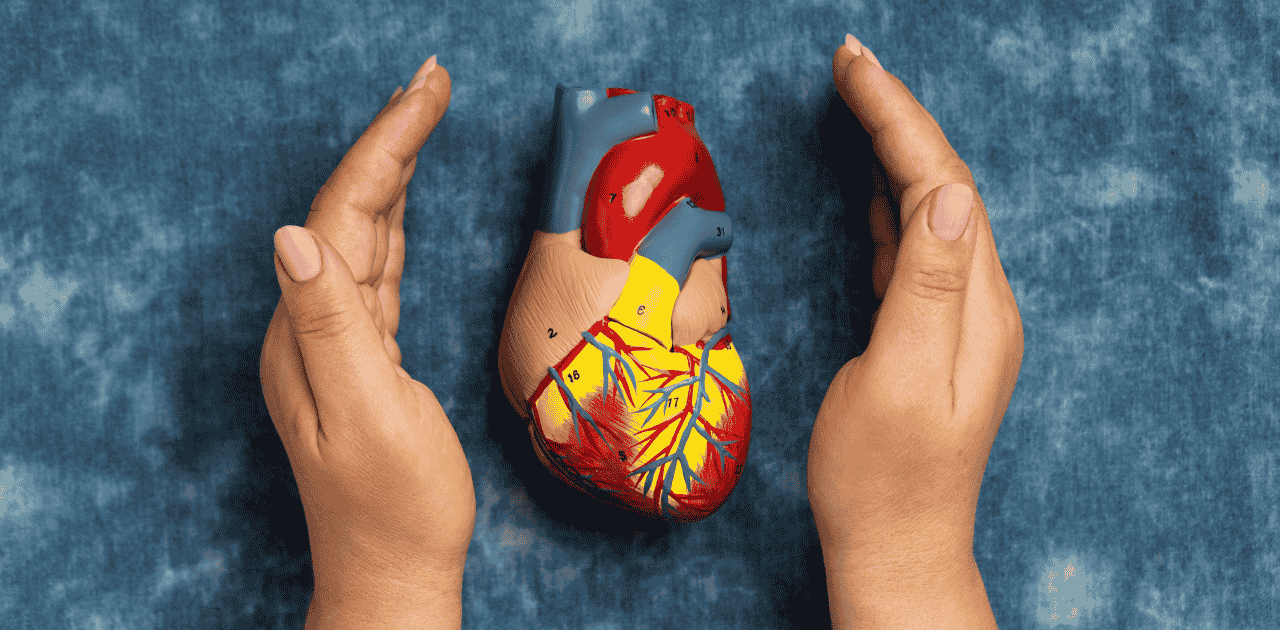 Congenital Heart Defects: How They Affect Heart Function