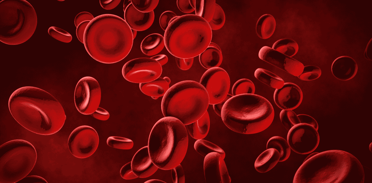 The Role of Blood Thinners in Managing Heart Conditions