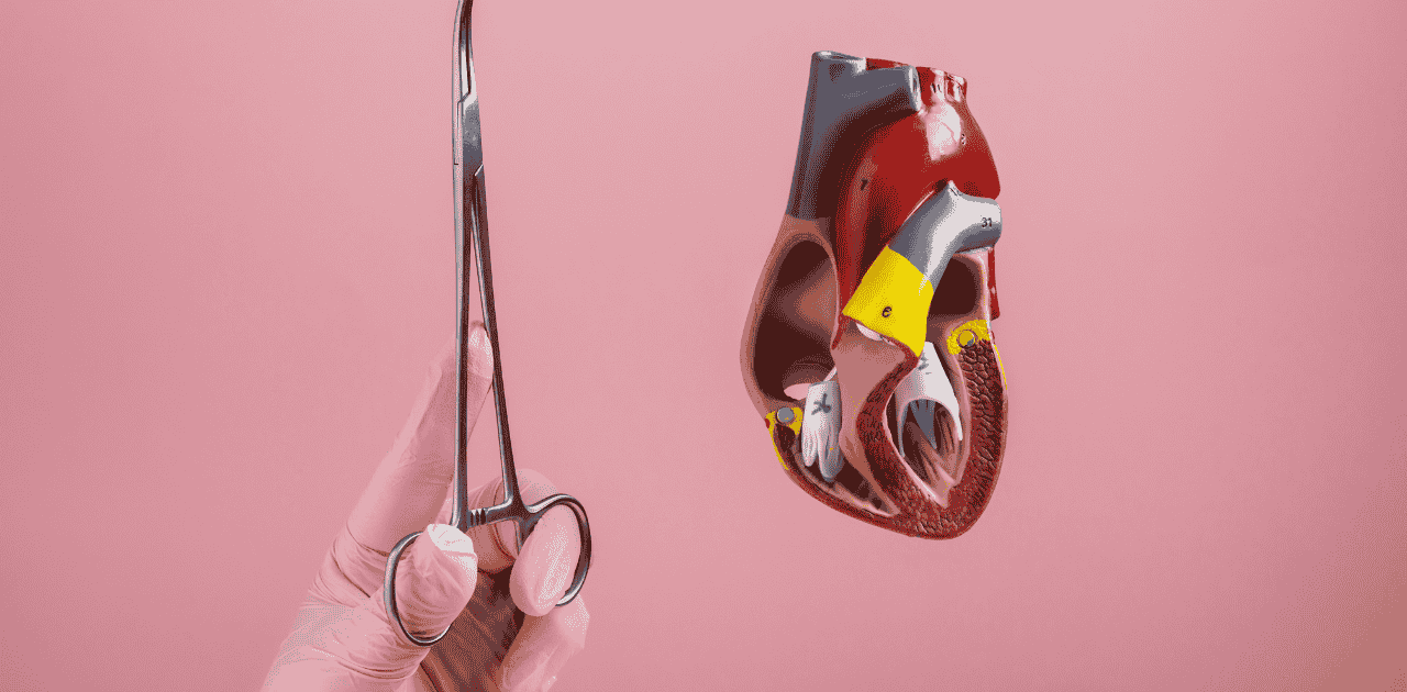 Heart Valve Surgery: Repair vs. Replacement Options
